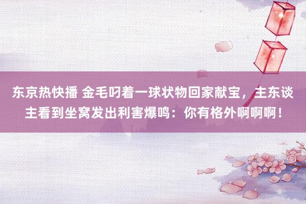 东京热快播 金毛叼着一球状物回家献宝，主东谈主看到坐窝发出利害爆鸣：你有格外啊啊啊！