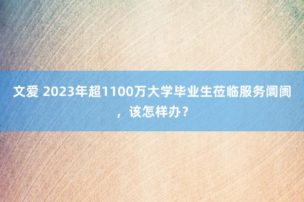 文爱 2023年超1100万大学毕业生莅临服务阛阓，该怎样办？