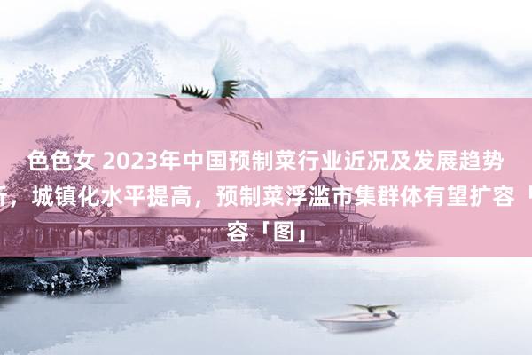 色色女 2023年中国预制菜行业近况及发展趋势分析，城镇化水平提高，预制菜浮滥市集群体有望扩容「图」