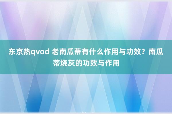 东京热qvod 老南瓜蒂有什么作用与功效？南瓜蒂烧灰的功效与作用