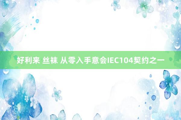 好利来 丝袜 从零入手意会IEC104契约之一