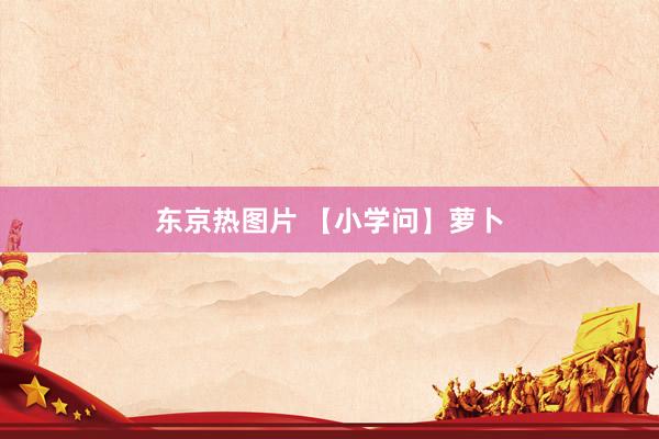 东京热图片 【小学问】萝卜