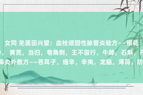 女同 羌医田兴望：血栓顽固性脉管炎验方——银花，路路通，穿山龙，党参， 黄芪，当归，皂角刺，王不留行，牛膝，石斛，丹参慢性鼻炎外敷方——苍耳子，细辛，辛夷，龙脑，薄荷，防风，外敷大椎荨麻疹验方——蝉蜕...