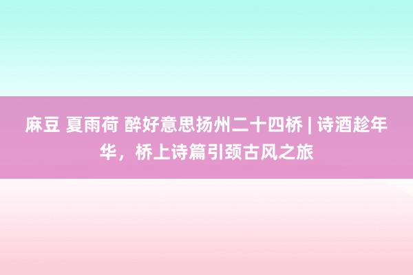 麻豆 夏雨荷 醉好意思扬州二十四桥 | 诗酒趁年华，桥上诗篇引颈古风之旅
