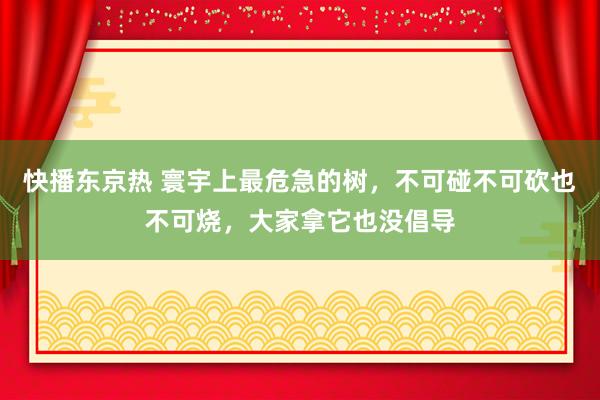 快播东京热 寰宇上最危急的树，不可碰不可砍也不可烧，大家拿它也没倡导